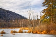 Frozen Pond