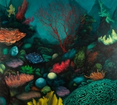 The Reef