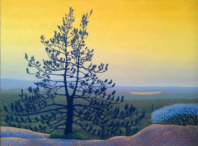 John-Kinsella-Lookout-Trail_2