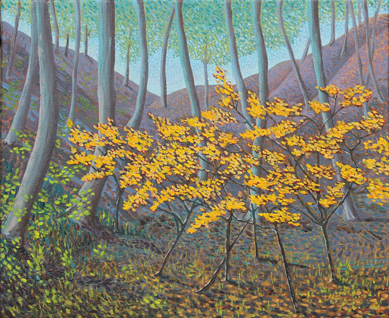 John-Kinsella-Saplings-in-Sunlight.w_2